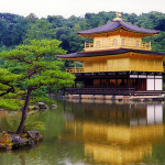 金閣寺 ～西方浄土への旅立ちを待ち続ける老松