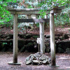 京都三珍鳥居 ～謎の3つの鳥居